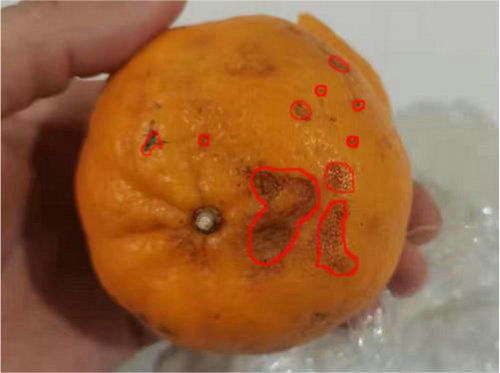 机器视觉产品检测数字化质量体系 (1).jpg